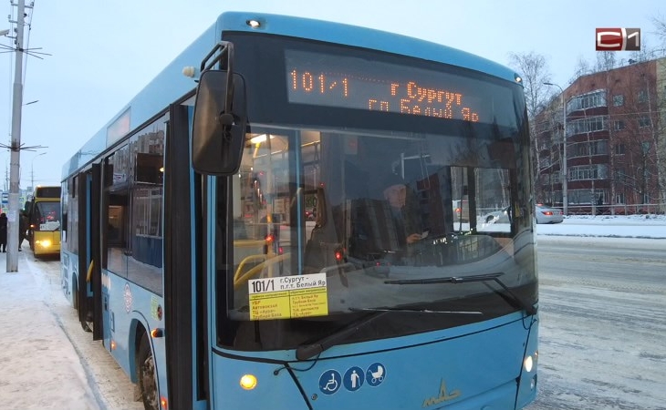 Комфортные автобусы будут ездить между Сургутом и Сургутским районом