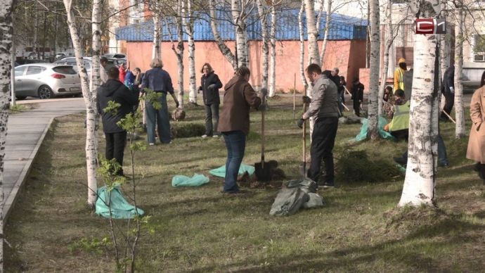 Дубы, ель, сосна: массовая высадка деревьев прошла...