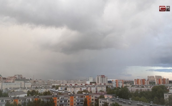 Дожди и 30-градусная жара прогнозируются в ряде районов Югры на неделе Дожди и 30-градусная жара прогнозируются в ряде районов Югры на неделе