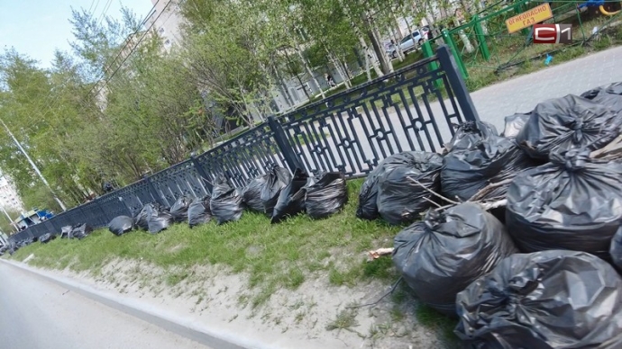 Стало известно, когда с газонов в Сургуте уберут м...