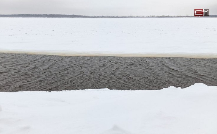 СРОЧНО! Двое младшеклассников провалились под лед в речпорту Сургута