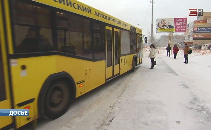 Количество бесплатных поездок в общественном транспорте Сургута увеличат до 60