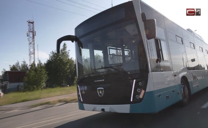Будут ездить по центральным улицам: новые автобусы прибыли в Сургут
