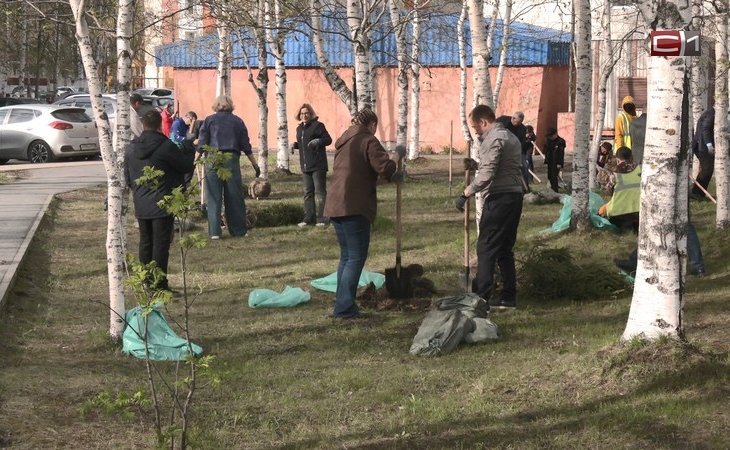 Дубы, ель, сосна: массовая высадка деревьев прошла в Сургуте