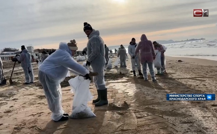 Югорчане активно подают заявки в первую экологическую миссию Гумкорпуса в Анапу