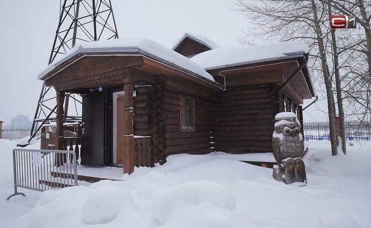 Погрузиться в дремучий лес: в Сургуте создадут выставку «Открывая тайгу»