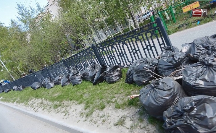 Стало известно, когда с газонов в Сургуте уберут мешки с собранной листвой