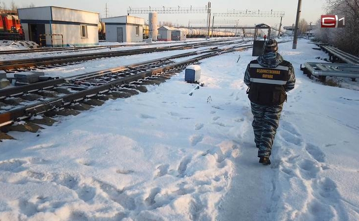 Объемы отправки зерна из Тюменской области выросли в 3 раза с начала года