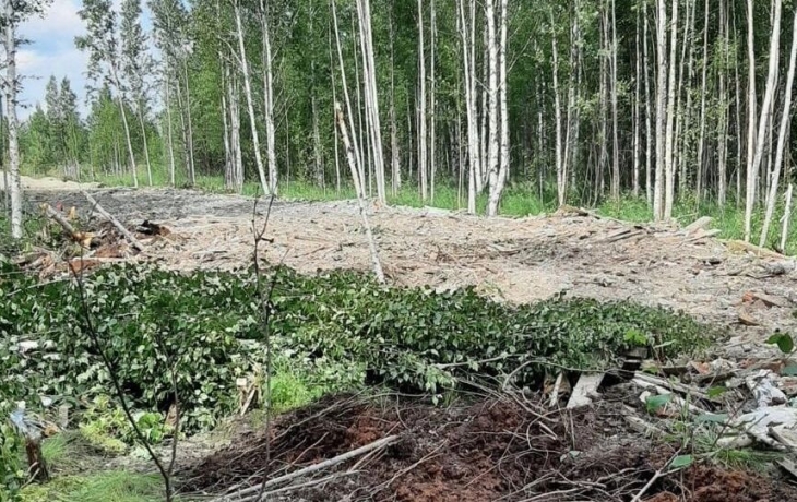 «Дорога на мусоре» в ХМАО: строительные отходы скрывают под слоем песка