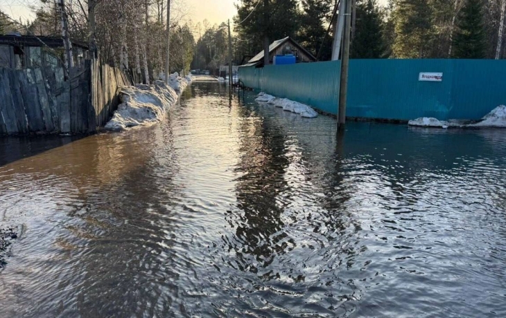 Только вплавь. Дачи в Сургуте спасают от подтопления Только вплавь. Дачи в Сургуте спасают от подтопления