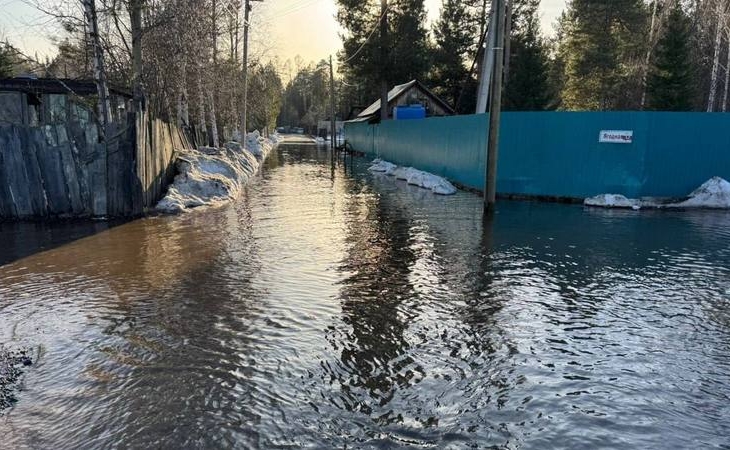 Несколько дачных участков в Сургуте подтопило из-за подъема уровня воды в реке