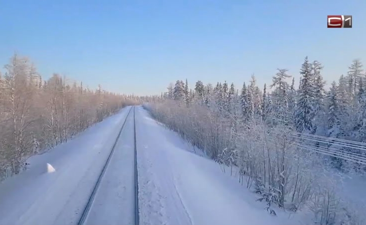 Пригородный поезд протаранил авто, выехавшее на переезд в Югре