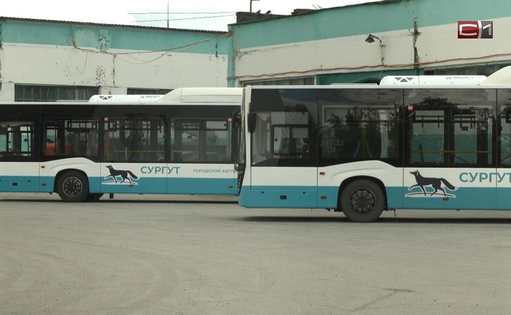 Благодаря новой поставке в Сургут СПОПАТ смог отправить старые автобусы в утиль