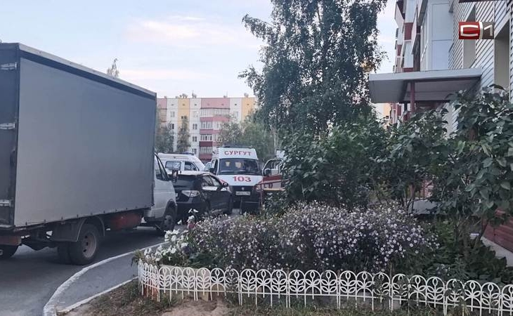 Хозяйская собака во дворе жилого дома в Сургуте запугала детей и родителей