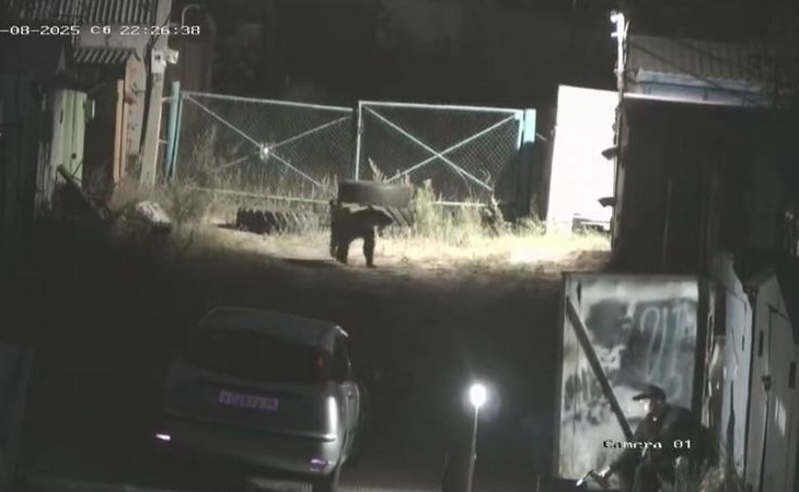 Медведь пробрался в гаражный кооператив поселка Солнечный Сургутского района