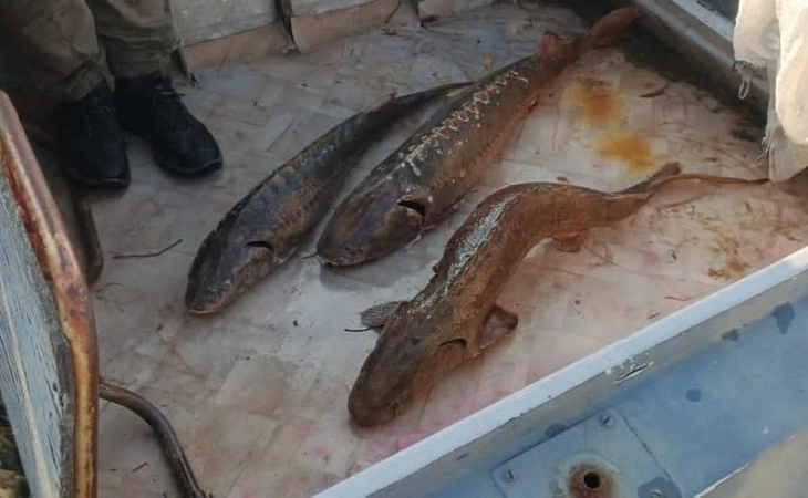 Житель Югры стал фигурантом уголовного дела за браконьерство на реке Обь