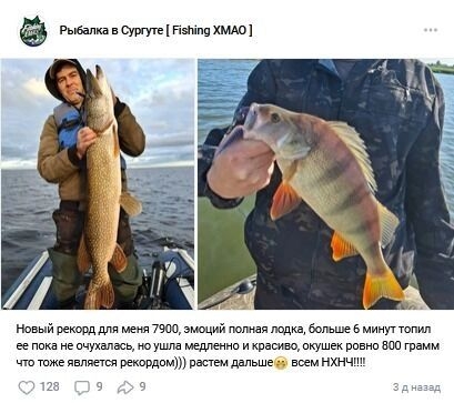 ЩУки буквально прыгают в лодку