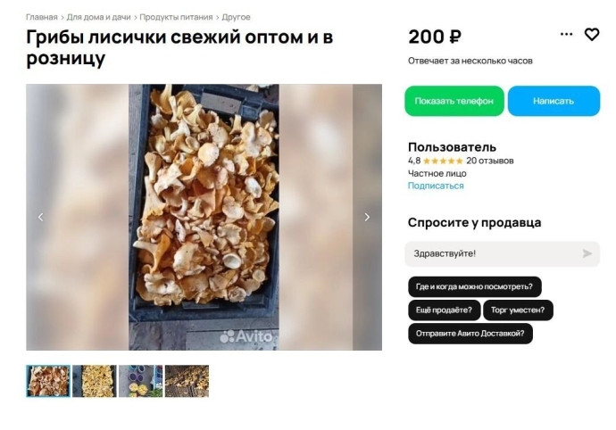 Объявления о продаже лисичек в интернете тоже есть