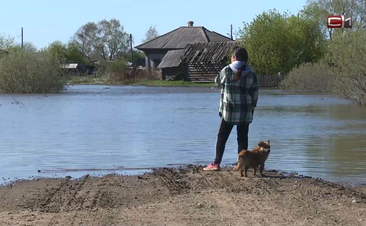 Спасатели Тюменской ОСЭР помогли десяткам тысяч человек Спасатели Тюменской ОСЭР помогли десяткам тысяч человек