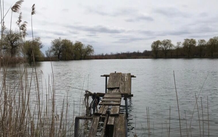 Из последних сил держалась за куст. Подробности трагедии с девочкой на протоке в ХМАО Из последних сил держалась за куст. Подробности трагедии с девочкой на протоке в ХМАО
