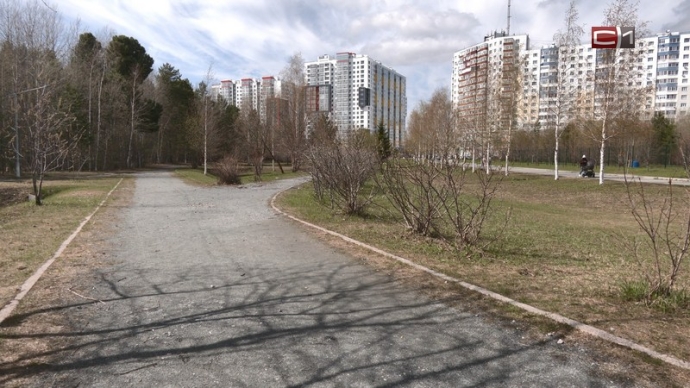 Неприятности в кустах: доверяют ли сургутяне приви...