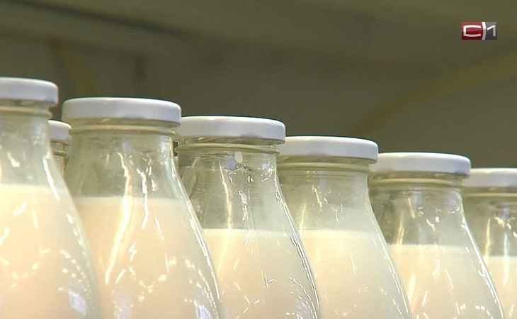 Какие продукты лучше не покупать в магазинах Югры, рассказали специалисты