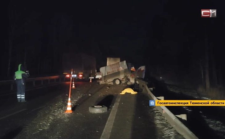 Две коровы и женщина погибли в ДТП с большегрузом и «Газелью» в Тюменской области