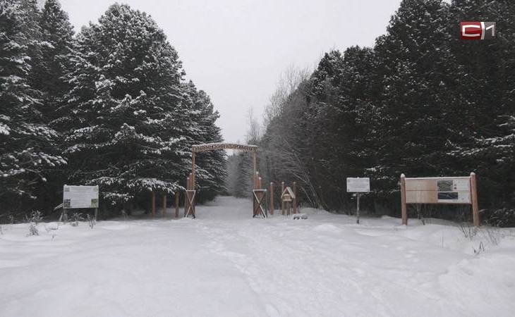 В Тундрино Сургутского района начали обустраивать экологическую тропу