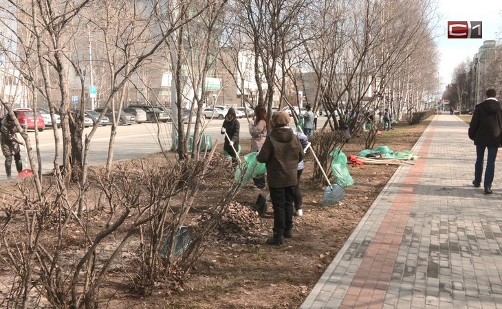 Порядок на газонах и тротуарах во время субботника навели в центре Сургута Порядок на газонах и тротуарах во время субботника навели в центре Сургута