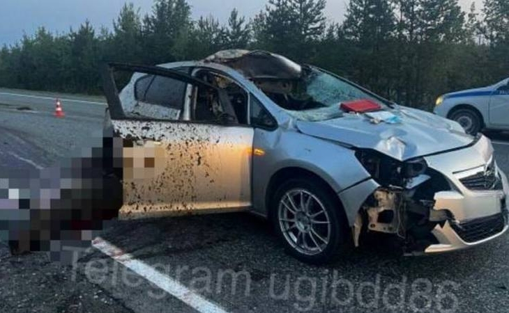 В Югре пассажир иномарки получил травмы во время ДТП с лосем
