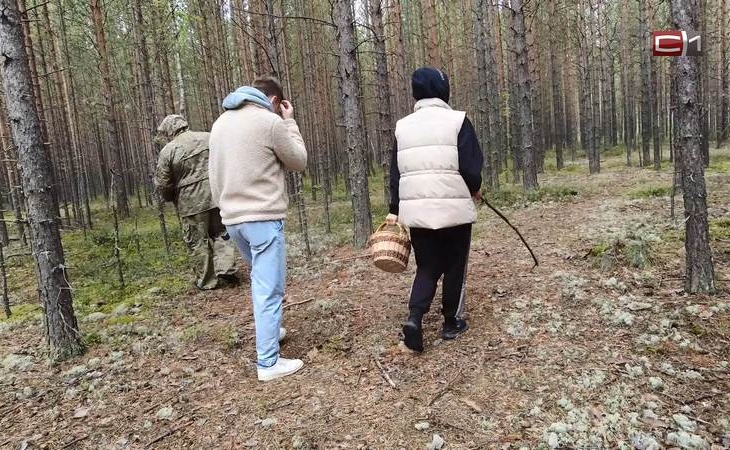За неделю клещи покусали больше 800 жителей Югры