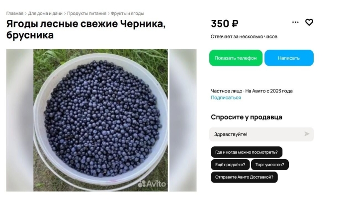 Сбор ягод в ХМАО