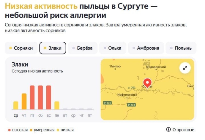 Наиболее активна пыльца сорняков и злаков