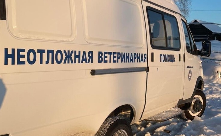 В Югре заработала мобильная ветеринарная помощь